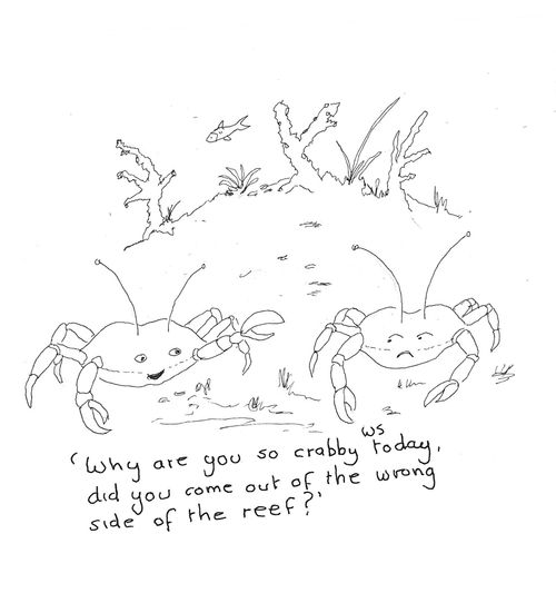 'Why are you so crabby today, did you come out of the wrong side of the reef?'