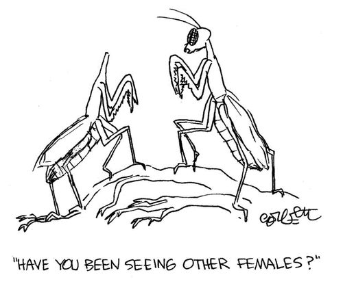 'Have you beed seeing other females?'