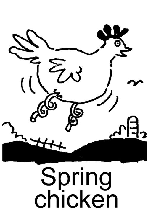 Spring chicken.