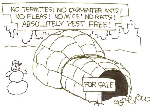 Igloo For Sale: No Termites! NO Carpenter ants! NO fleas!  No mice! No rats! Absolutely pest free! 