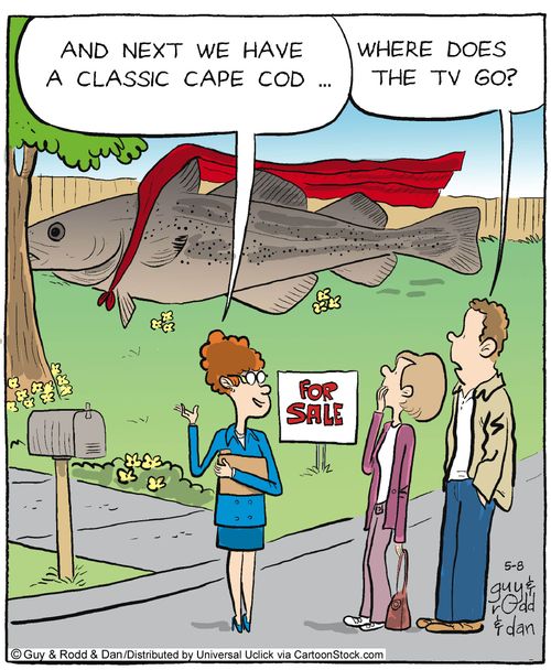 'And next we have a classic cape cod...'