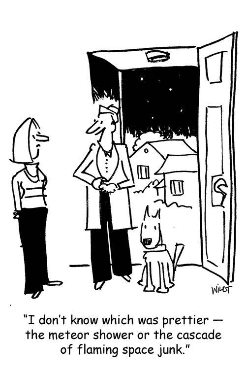 'I don't know which was prettier - the meteor shower or the cascade of flaming space junk.'