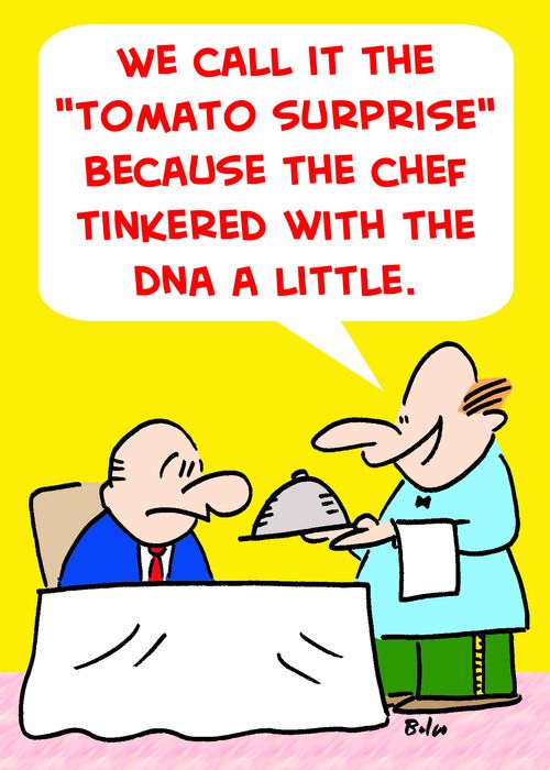 'We call it the 'Tomato Surprise' because the chef tinkered with the DNA a little.'