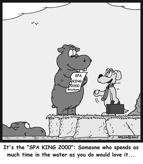 'It's the 'SPA KING 2000': Someone who spends as much time in the water as you do would love it...'