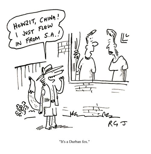 'It's a Durban fox.'