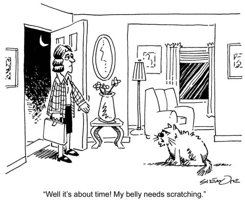 'Well it's about time! My belly needs scratching.'