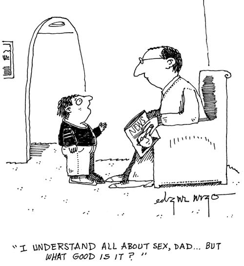'I understand all about sex, Dad...But what good is it?'