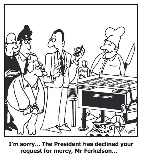 'I'm sorry... The President has declined your request for mercy, Mr Fekelson...'