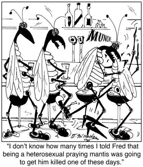 'I don't know how many times I told Fred that being a heterosexual praying mantis was going to get him killed one of these days.'