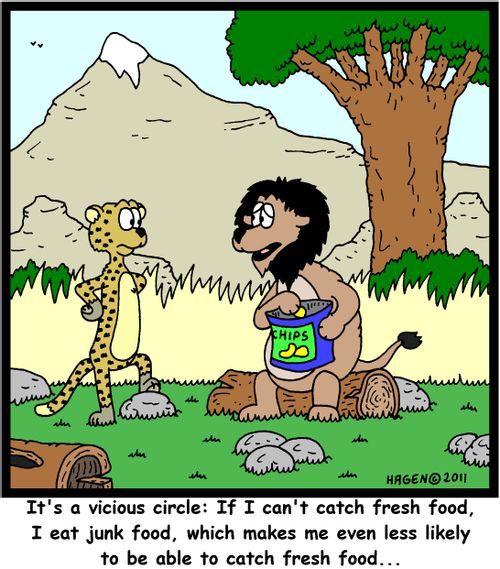 'It's a vicious circle: If I can't catch fresh food, I eat junk food, which makes me even less likely to be able to catch fresh food...'