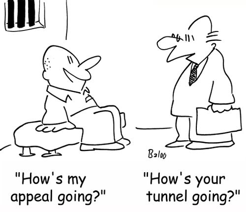 'How's my appeal going?', 'How's your tunnel going?'