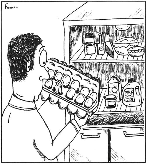 A chick hatches in an egg carton left in the refrigerator 