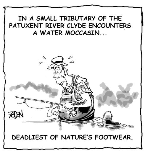 The Deadliest of Nature's Footwear.