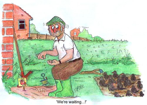 'We're waiting...!'