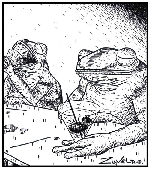 Two frogs enjoying a Martini, with flies as their replacement to olives.
