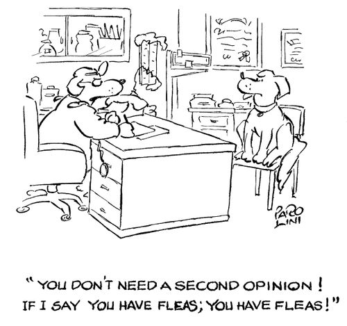 'You don't need a second opinion! If I say you have fleas, you have fleas!'