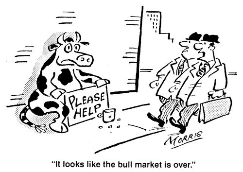 "It looks like the bull market is over."