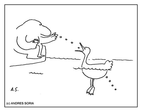 Man feeding a bird