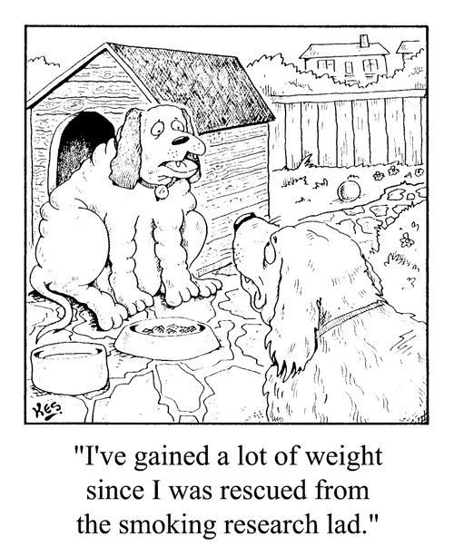 "I've gained a lot a weight since I was rescued from the smoking lab"