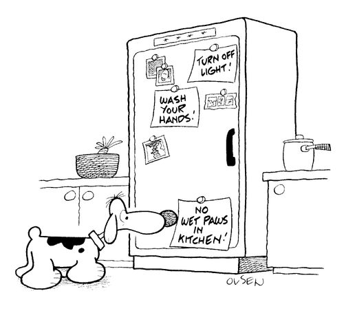 'No wet paws in Kitchen'