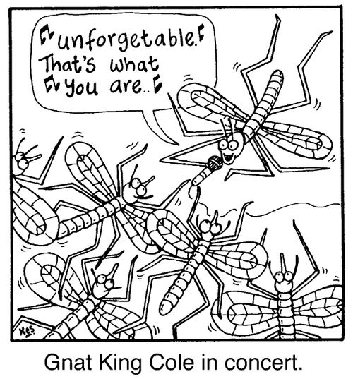 Gnat King Cole in concert "Unforgetable that's what you are.."