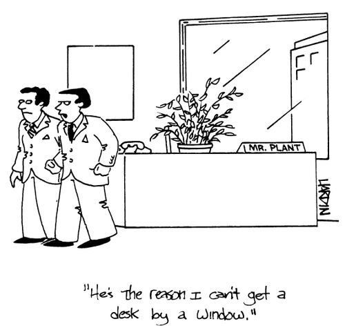 'He's the reason I can't get a desk by a window.'