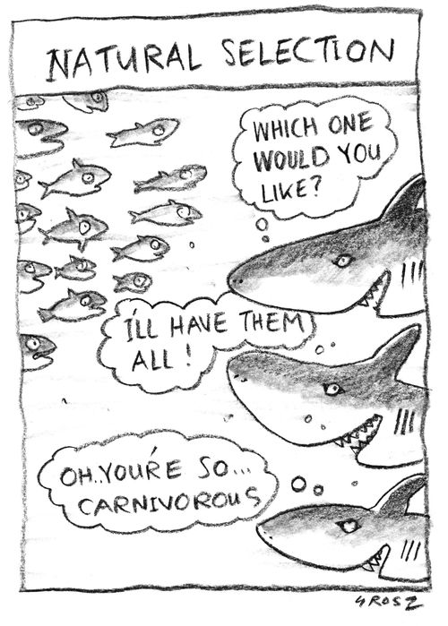 Natural selection.