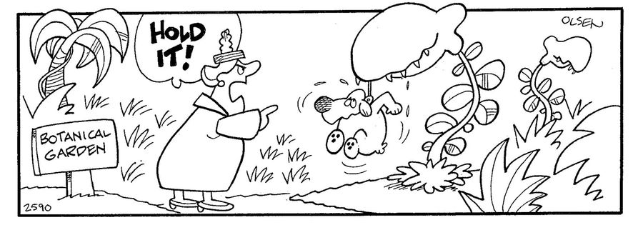 'Hold it!' - Mans dog getting eaten by a plant/venus fly trap in botanical gardens.
