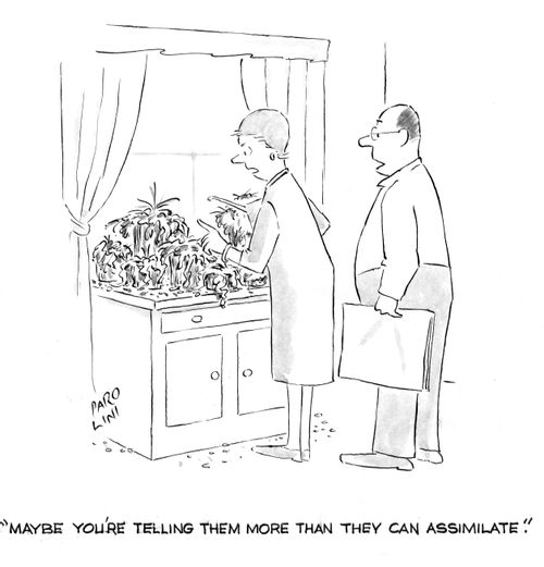 'Maybe you're telling them more than they can assimilate.'