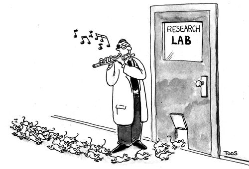 Pied piper.
