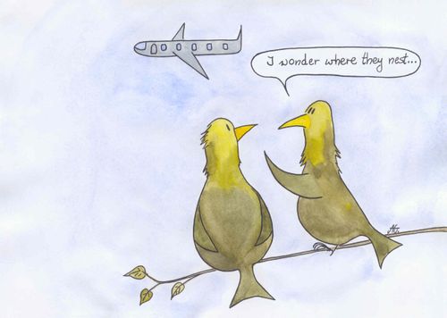 "I wonder where they nest..."