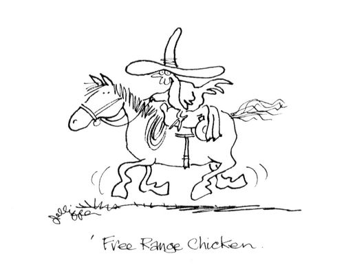 Free Range Chicken.