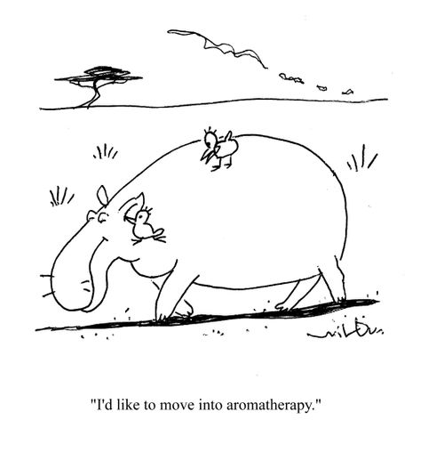 'I'd like to move into aromatherapy.'