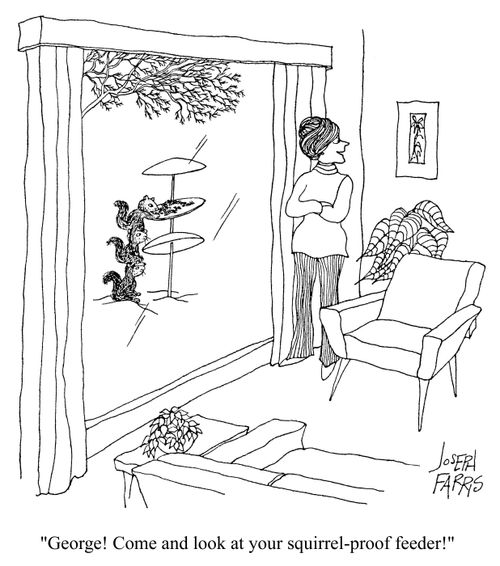 'George!  Come and look at your squirrel-proof feeder!'