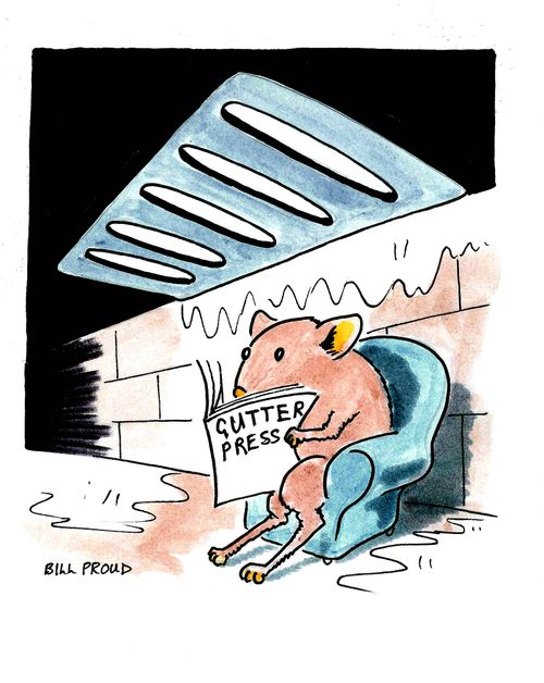 A Mouse Reading the 'Gutter Press'.