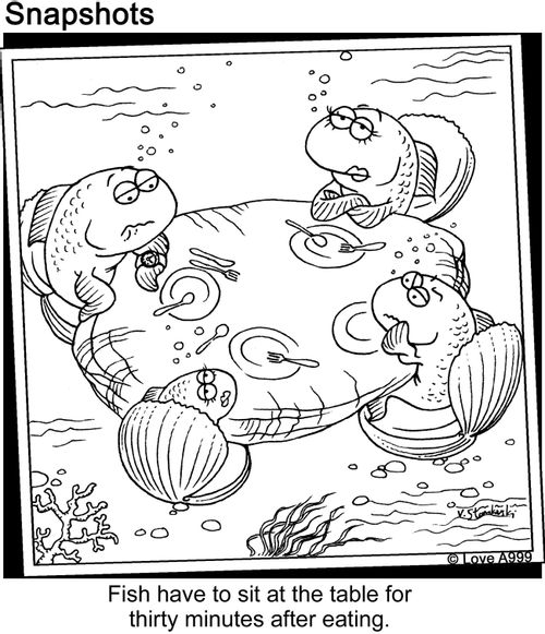 Fish have to sit at the table for thirty minutes after eating.