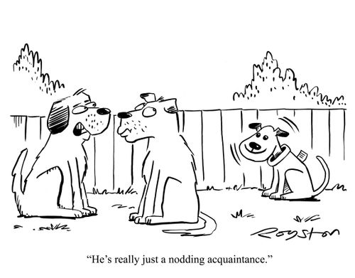 Dog says of toy dog: 'He's really just a nodding acquaintance.'
