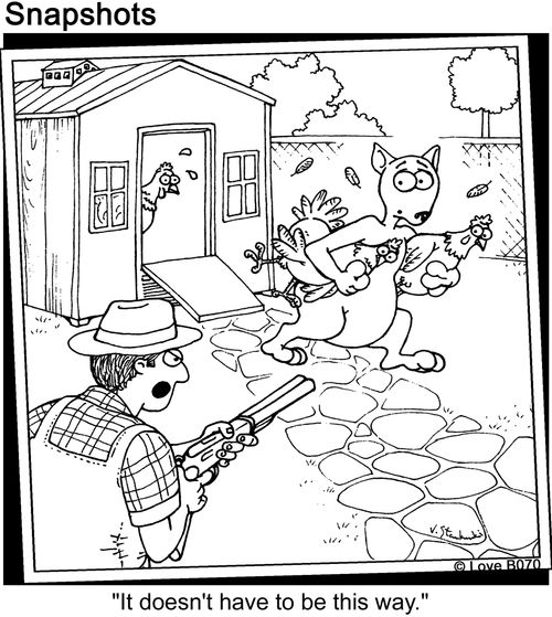 Farmer and Chicken Coop.