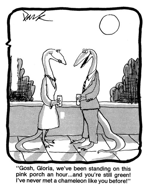 'Gosh, Gloria, we've been standing on this pink porch an hour, and you're still green! I've never met a chameleon like you before!'