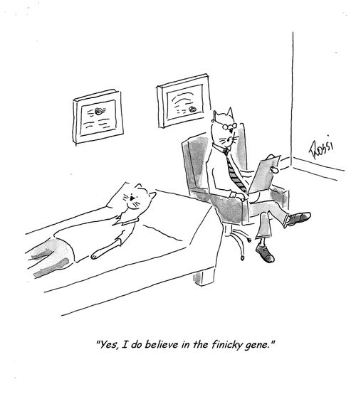 'Yes, I do believe in the finicky gene.'