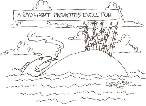 A bad habit promotes evolution.