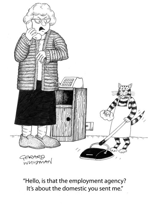 'Hello, is that the employment agency? It's about the domestic you sent me.'