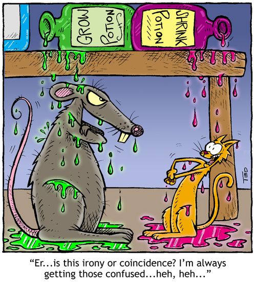'Is this irony or coincidence?' 