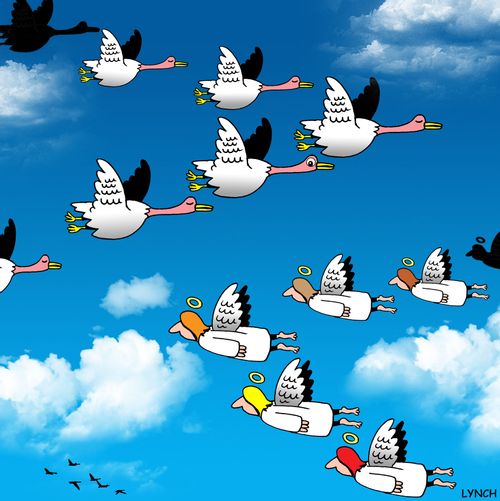 Geese and Angels