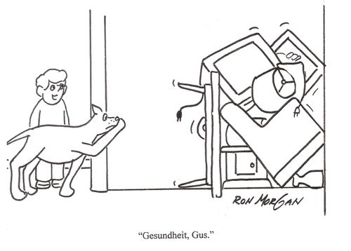 'Gesundheit, gus.'