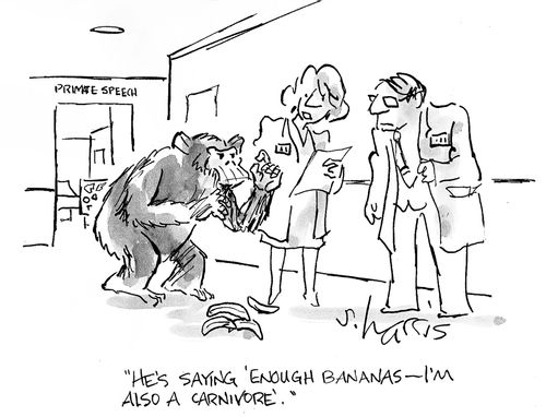 'He's saying 'Enough bananas -  I'm also a carnivore'.'
