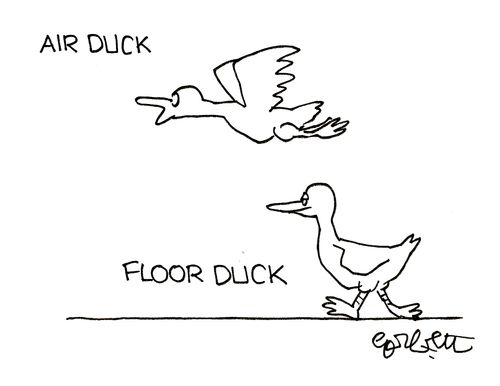 Air Duck/Floor Duck.