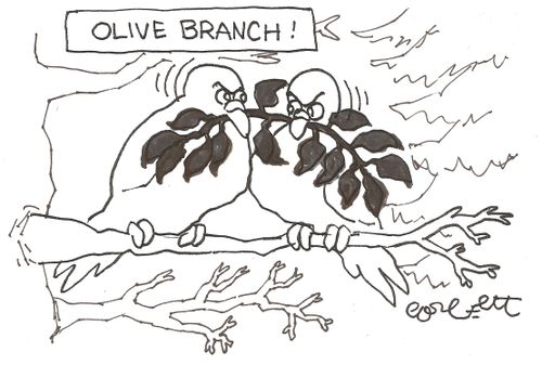 Olive Branch.