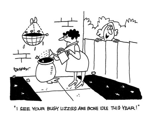'I see your busy lizzies are bone idle this year!'