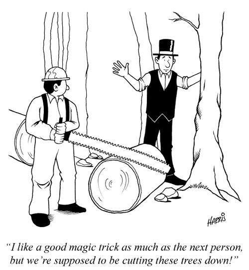 'I like a good magic trick as much as the next person, but we're supposed to be cutting these trees down!'